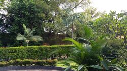 Ridout Road (D10), Detached #497030431